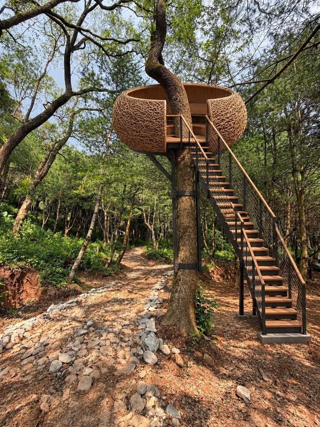 樹上鳥巢咖啡空間